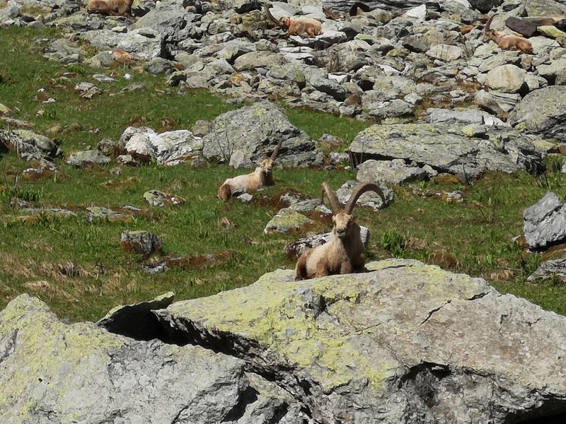 La Vanoise National Park