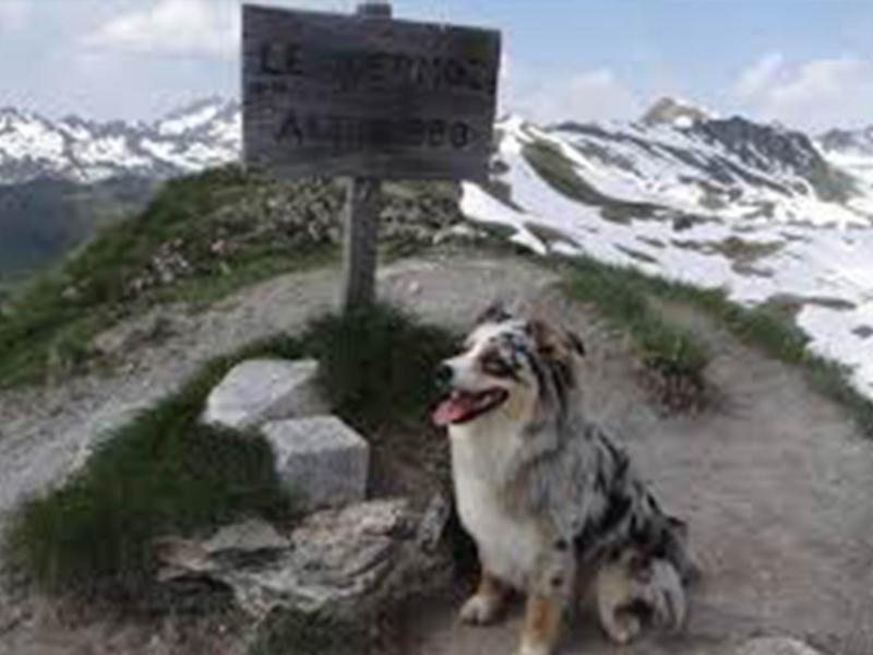 Le refuge du Nant du beurre